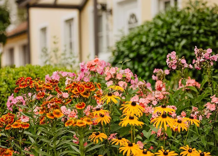 Elfriede Eigner 巴特比恩巴赫